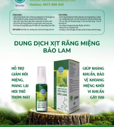 Dung dịch xịt răng miệng Bảo Lam 100 chai x 30ml